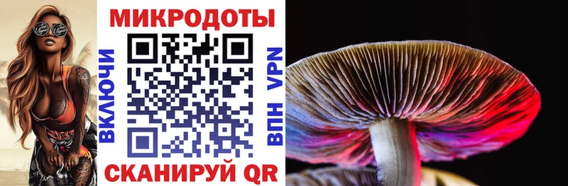 Галлюциногенные грибы Cubensis  Славянск-на-Кубани 